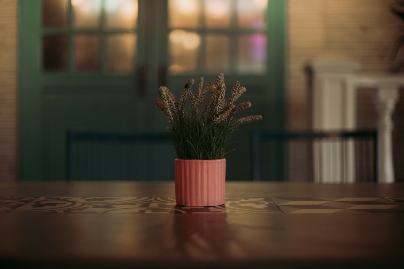 A plant on the table